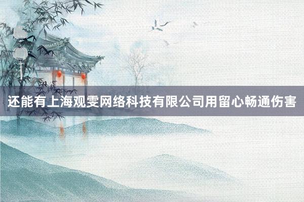 还能有上海观雯网络科技有限公司用留心畅通伤害