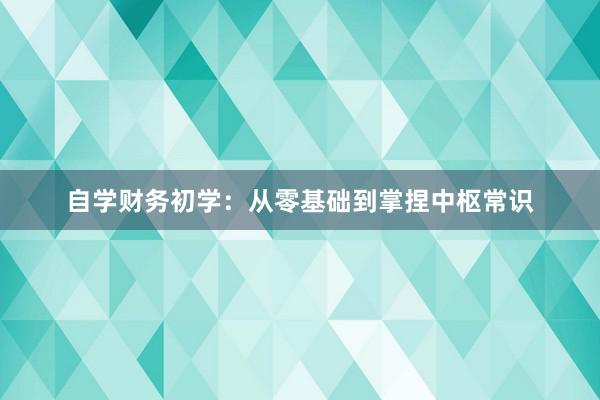 自学财务初学：从零基础到掌捏中枢常识