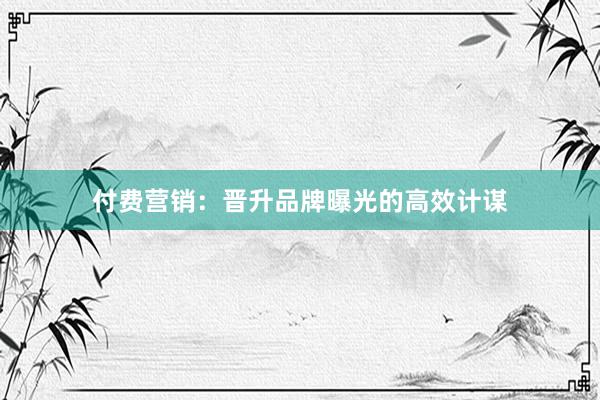 付费营销:晋升品牌曝光的高效计谋